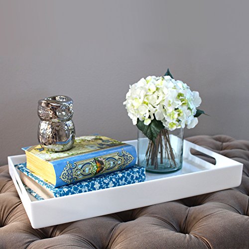 Vale Arbor White Acrylic Serving Tray For Vanity, Bathroom, Ottoman, Organizer And Décor With Handles (Rectangle, Large) #TOP2