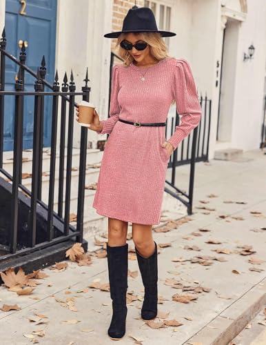 Image of Zeagoo Plus Size Sweater Dress for Curvy Women Sweater Dresses 2026 Fall Winter Dresses Knitwear, Light Pink XXL