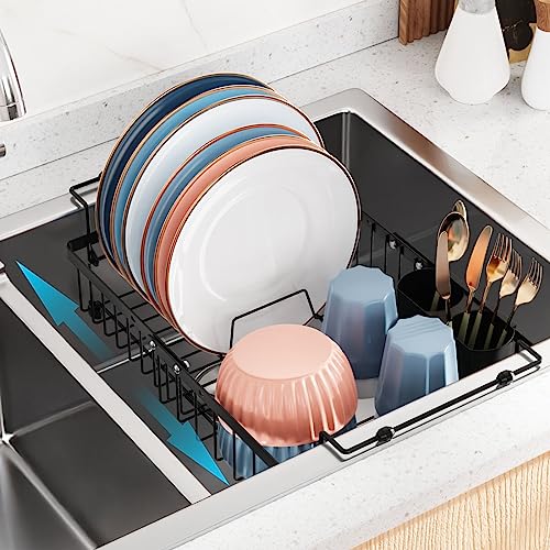 Top 10 Best In Sink Dish Rack Reviews & Buying Guide Katynel