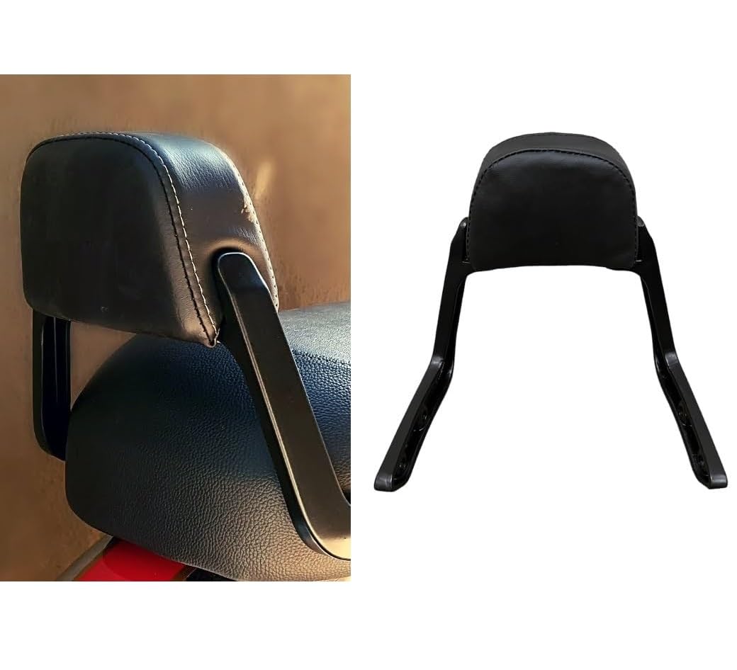ASH Bike Reborn Classic 350 Aluminium Backrest with Small Cushion-image-40