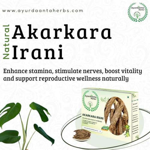 Image of Irani Akarkara /ईरानी अकरकरा | Anacyclus Pyrethrum (50 Gram)