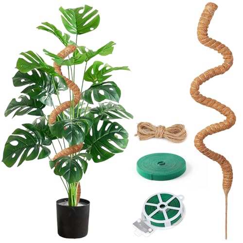 Aulese Rankhilfe Monstera 125cm, Moosstab für Monstera mit Zubehör, Pflanzenstütze Zimmerpflanzen, Pflanze Unterstützung für Kletterpflanzen im Innenbereich
