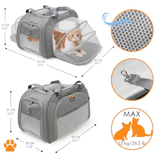 MY DUQUE – Modell CAR-GO Faltbare Hundebox und Transportbox für Katzen | ISOFIX für einfachen Einbau im Auto | Erweiterbare Hundetransportbox mit Zugriff vorn & hinten – Ideal für Flugreisen – Grau