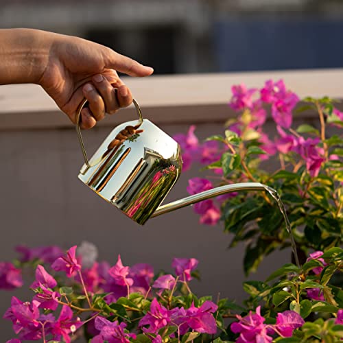 Indoor Watering Can Set - Bonus Mister Spray 10Oz And Houseplants Book - 16Oz Gold Long Spout Watering Can For Indoor Plants - Small Vintage Watering Can - Modern Metal Water Cans #TOP2