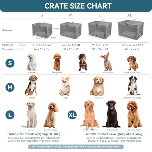 Petsfit Hundebox für Zuhause, Hundebox faltbar für kleine Hunde, Hundetransportbox Auto Verstellbares Design Hundeschlafbox, Zimmerkennel Hund mit Reißfeste Netzfenster & plüsche Betteinlage