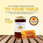 Niagara's Buckwheat Honey | 1 Kg | Unpasteurized Honey | 100% Pure Canadian | Local Golden Natural, Sweet & Delicious, Perfect for Breakfasts, Baking and Desserts