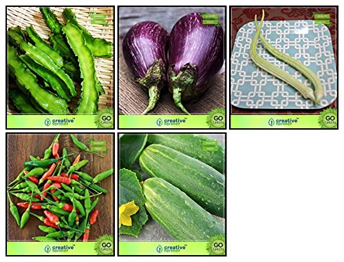 Creative Farmer Gardening Seed Combo Vegetable Seeds : Amaranthus(Red), Amaranthus(Green), Ashgourd, Cowpea (Anaswara), Cucumber Sambar, Dolichus Beans (Grace) Kitchen Garden Pack