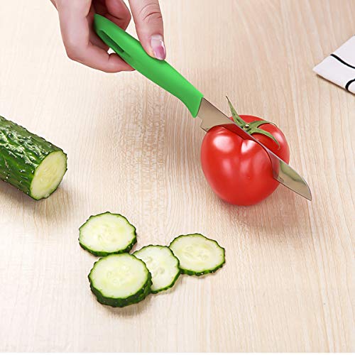 Paring Knife, New Sharp And Durable Fruit Knife With Protective Cover, Suitable For Most Types Of Vegetables, Fruits And Meat,6 Pieces (Pink, Blue, Green,Black,Yellow,Red) #TOP3
