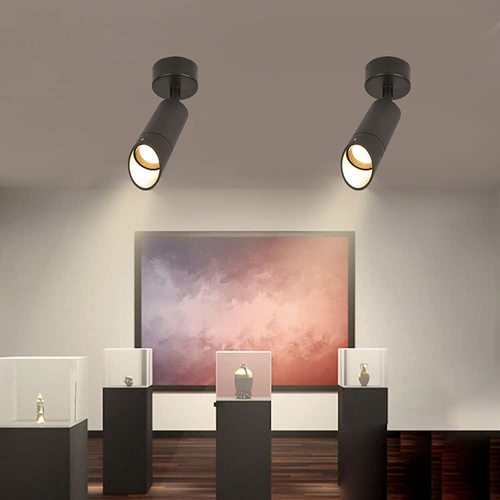 Spot de plafond luminaire directionnel tube oblique aluminium orientable noir 3000K