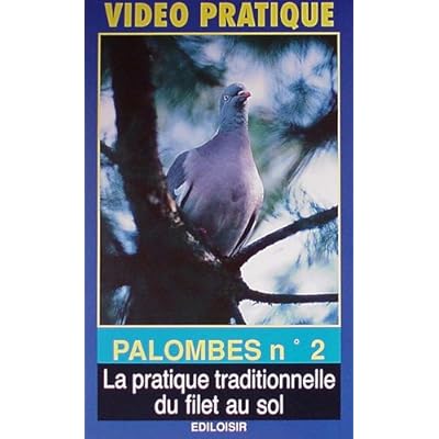 Les palombes, chasse au col et filet