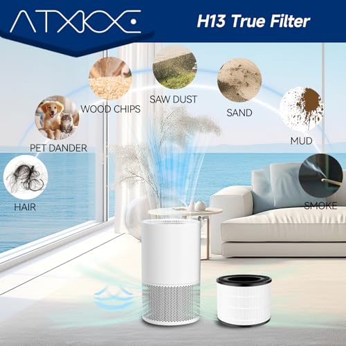 ATXKXE 2 Pack AP-S0610L Air Filter Replacement Fit for Mooka AP-S0610L Air Purifier, 3-in-1 True Filter