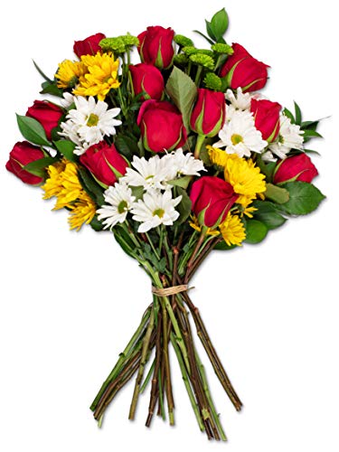 Benchmark Bouquets Life is Good Flowers Hot Pink, No Vase (Fresh Cut Flowers) Benchmark Bouquets Life is Good Flowers Hot Pink, No Vase (Fresh Cut Flowers)