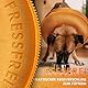 Aschpas® 2 IN 1 Aufblasbare Halskrause Hund mit Trichter, Leckschutz Hund nach OP, Dog Cone, Halskrause Katze, Hunde Donut [Size 4]
