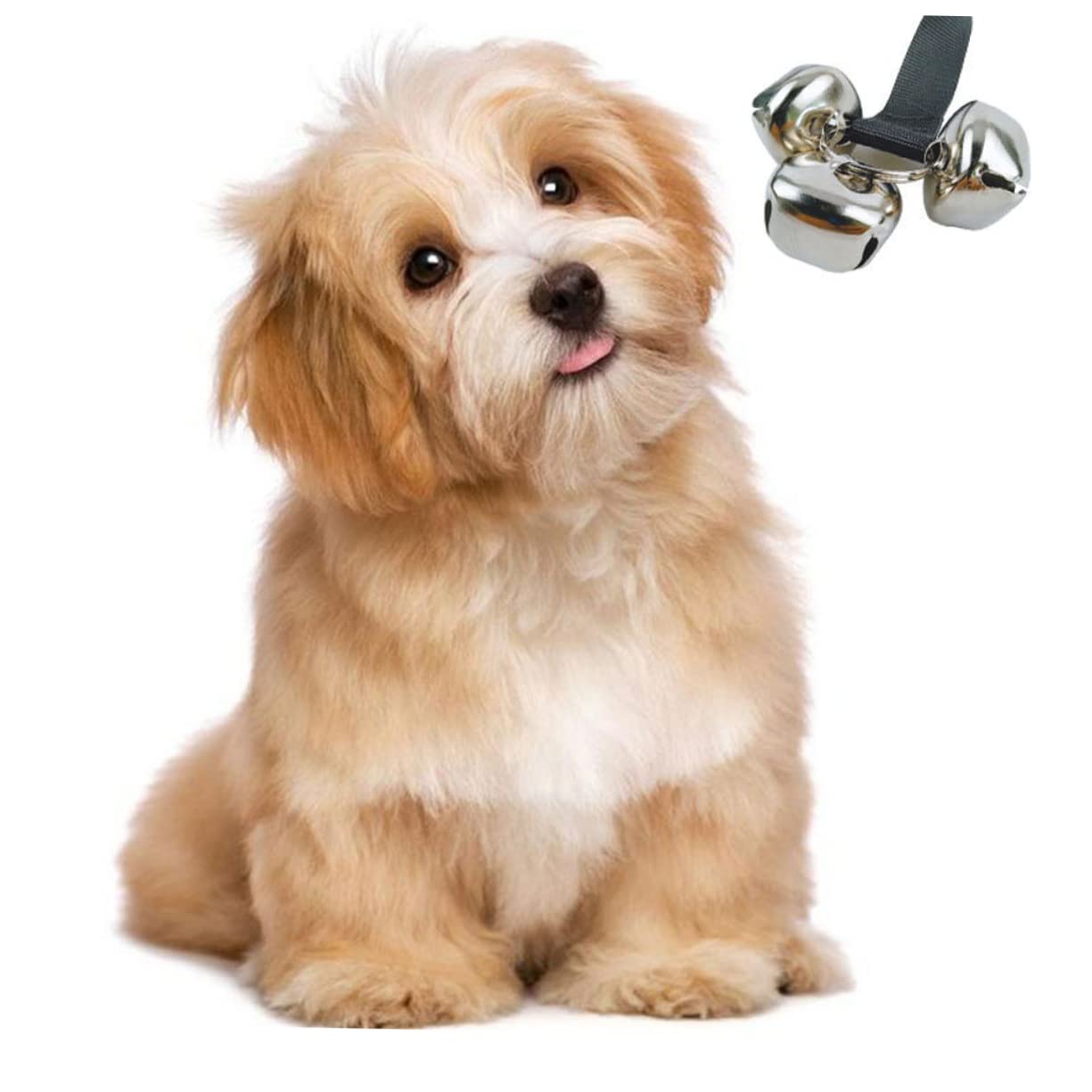 BESPORTBLE Dog Doorbell Puppy Training Bell Pet Supplies Housebreaking Dog Training Equipment
