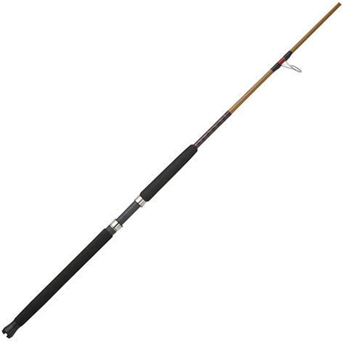 Tiger Spinning Fishing Rod