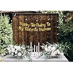 Happy Birthday To My Favorite Human - Funny Birthday Gold Glitter Banner – Birthday Party Supplies, Ideas, Gifts and Decorations - Image 2