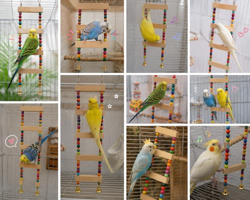 Image of Raindrops Bird Cage Climbing Ladder Toy - Wooden Hanging Exercise & Enrichment Toy with Colorful Beads for Budgies|Cage Accessories|Wooden Ladder|Birds Chew Toy (Height 12 inch)