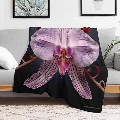 Manta con flores de 130x180 cm para sofá y cama 3