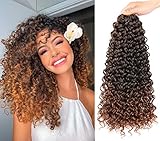 8 Packs 18 inch Curly Crochet Hair for Black Women Water Wave Crochet Hair Curly Braiding Hair GoGo Curl Crochet Hair Ocean Wave Beach Curl Wavy Crochet Hair Extensions (Pack of 8, Ombre Brown)
