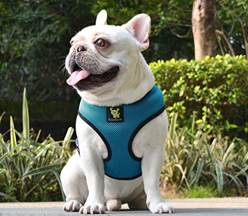 Image of EcoBark Dog Harness - Eco-Friendly Max Comfort Harnesses - Luxurious Soft Mesh Halter - Over the Head Harness Vest- No Pull and No Choke for Puppy, Small Breeds & Medium Dogs (Large, Teal Blue)