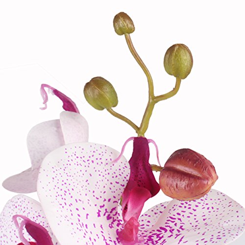 Jarown - Rami di orchidea Phalaenopsis