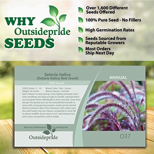 Outsidepride Setaria Italica Red Jewel Millet Ornamental Grass For Wildlife Forage Or Dried Arrangements - 500 Seeds #TOP4