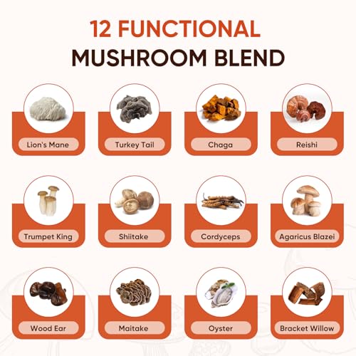 Itiban 12 Mushroom Coffee with Probiotics