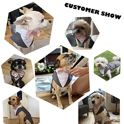 Hund Kleidung Tuxedo, Haustier Mantel Formale Hochzeit Verkleidungen & Kostüme für Hunde Chihuahua Kostüm Formelles Hunde-Smoking(Grau, S)