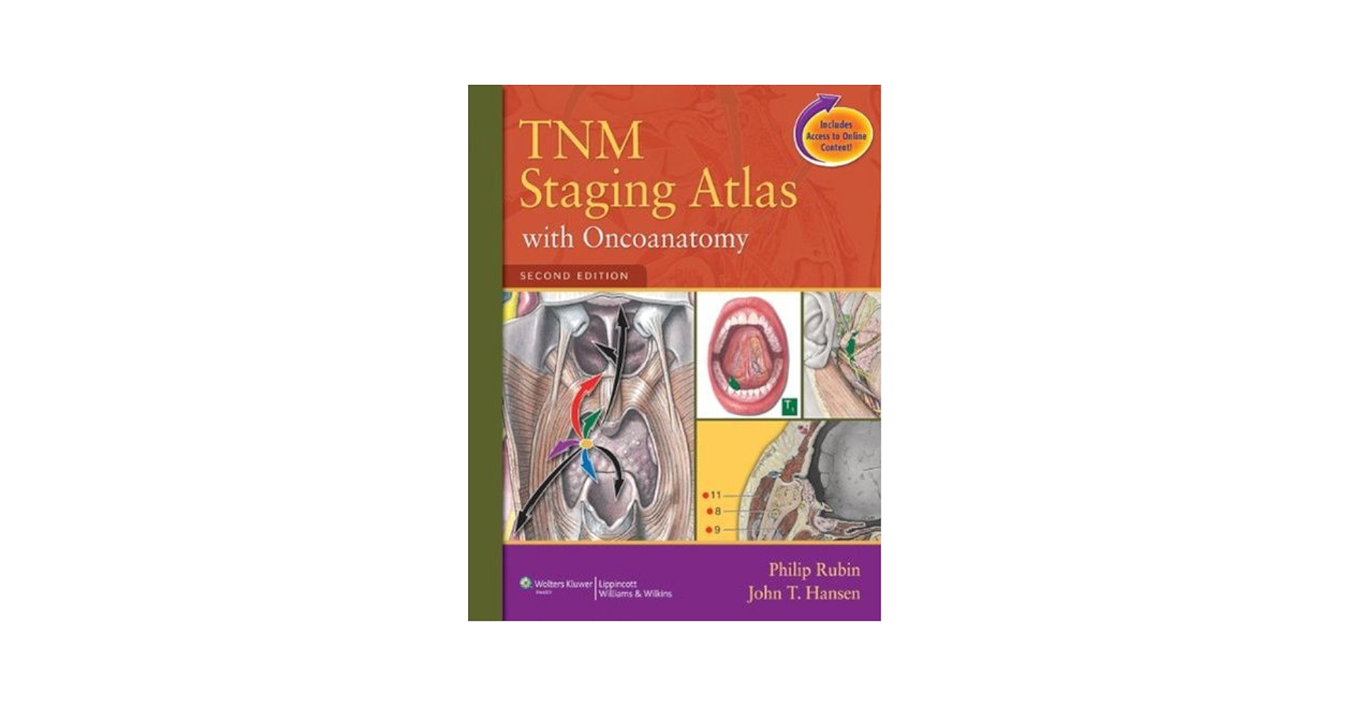 Amazon.com: TNM Staging Atlas with Oncoanatomy eBook : Rubin