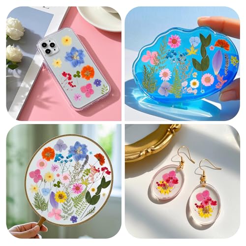 100 Piezas de Flores Secas Prensadas para Manualidades miniatura 6
