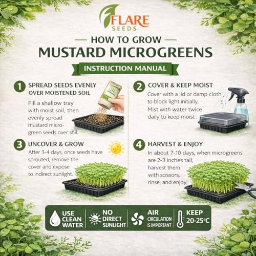 Image of Mustard Microgreen Seeds, Chemical-Free Non-GMO, 100 gm Pack with Coco Disk, Rich in Antioxidants and Nutrients, Grown in India