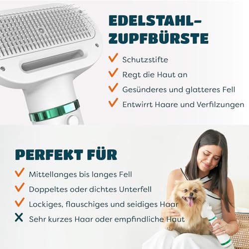 KUUBIA Hundeföhn | 2-in-1 Haartrockner mit Selbstreinigender Bürste | für kleine und mittelgroße Hunde & Katzen | 300W Blower Hundefön | Schmaler Griff, relativ leise, einstellbare Temperatur