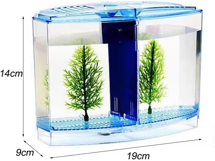 EatingBiting Large Double Compartment Fighting Fish Box Eco Rumble Fish Aquarium Mini Aquarium Plastic Isolation Box Breeding Box Transparent Betta Fish Tank