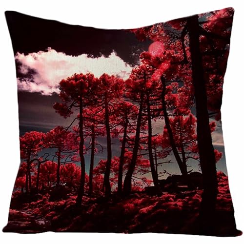 Isdreem Lino Fodere per Cuscini Giardino Copricuscino Poltrona 1 Posto Fodere Cuscini Bancali Copricuscino Poltrona da Giardino 50x50cm