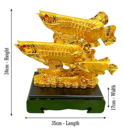 Image of Fengshui Exclusive Polyresin Set of 1 X-Large Golden Big Size Polyresin Double Arowana Fish with Money Coins Showpiece for Office Decor, Home Decoration (AF-2618)