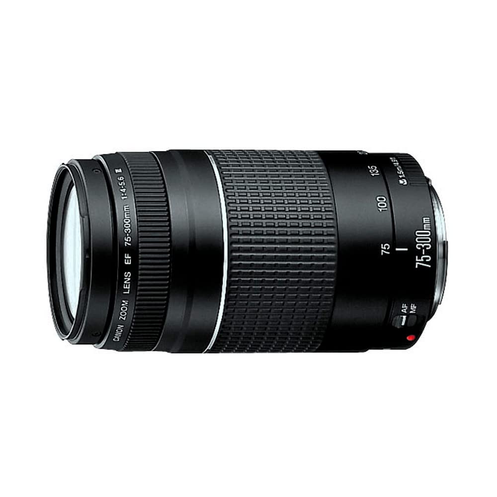 Canon キヤノン EF 75-300mm F4-5.6 III◆7592 Lente EF 75-300mm f/4-5.6 III, Canon, Preto | Amazon.com.br