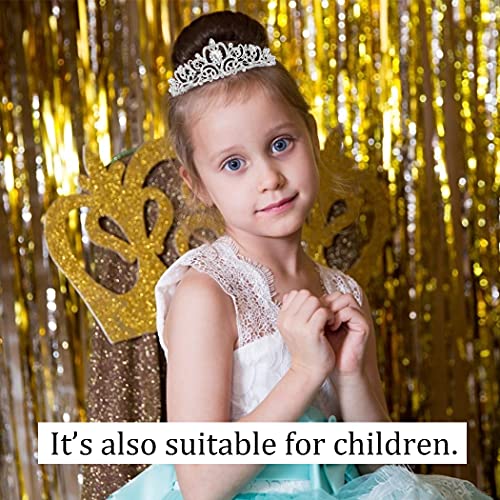 image for COCIDE Birthday Queen Sash & Tiara Set - Silver Birthday Sash and Tiar