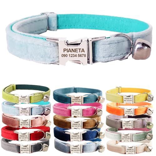 PIANETA L  t O聕dbԍ qDt q JX^}CY ybg ID L^ɓKp (݂, S (16-26cm))