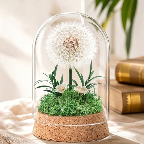 YIChongDan Wunscherfüller Pusteblume im Glas Echte Pusteblume im Glas Pusteblume Deko für Frauen Freundin Mädchen Geschenke für Geburtstag Hochzeit Jugendweihe Weihnachten