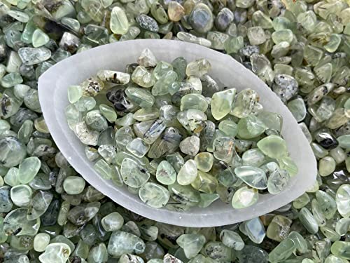Image of GAF TREASURES 2 oz Lot Natural Semi Tumbled Gemstone Chips, Crushed Mini Crystals, Undrilled Crystal Chips (Green Prehnite)