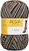 Regia 4-Fadig Color - 4 Ply Sock Coloured 100gm 07710 Snowflake Eiszapfen