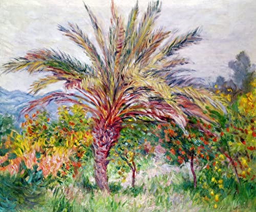 Affiche en toile Claude Monet Palmier à Bordighera pour décoration murale de salon 60x90cm