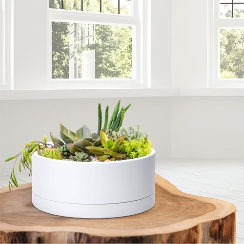 Pot de bonsaï rond en plastique 25 cm blanc avec drainage D'vine Dev - 8