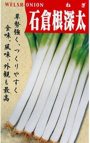 Amazon ネギ 種 石倉一本 種子 小袋 約8ml 野菜