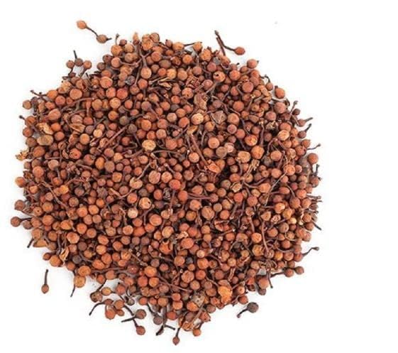 TRICONE Nagkesar nagkeshar seeds Ceylon ironwood nagkesar Seeds 50 Seeds DE18 (B0CFBJ32KC) Amazon Price History, Amazon Price Tracker