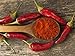 CAYENNE PEPPER, LONG RED THIN PEPPER SEEDS, HEIRLOOM, 20 SEEDS,GREAT FRESH OR DRIED