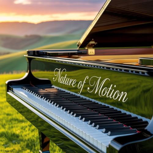 Nature of Motion