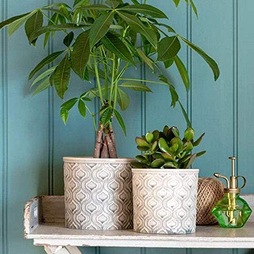 Preisvergleich Produktbild Burgon & Ball Blumentopf, Keramik, weichgrau, groß