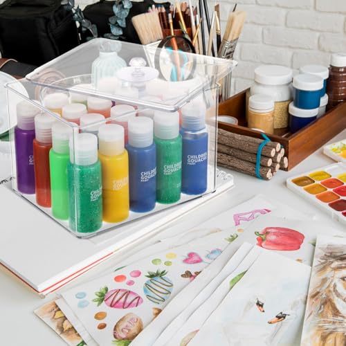 Image of Rainmae Paint Storage Box for Apple Barrel Acrylic Paint, Paint Storage Case with Lid for Craft Paint Storage, Empty Craft Paint Storages for Paint Bottle, Hold 20 Bottles of 2 fl. oz Acrylic Paints