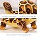 Owddddtnxc Turtle Stuffed Animal, 12 Inch Realistic Cute Turtle Plush, Ultra Soft Skin-Friendly Lifelike Sea Life Toys Good for Kids Birthday, Brown